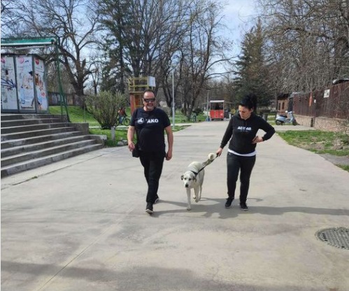Неделава се заловуваат бездомни кучиња во Центар 